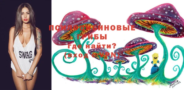 герыч Магас
