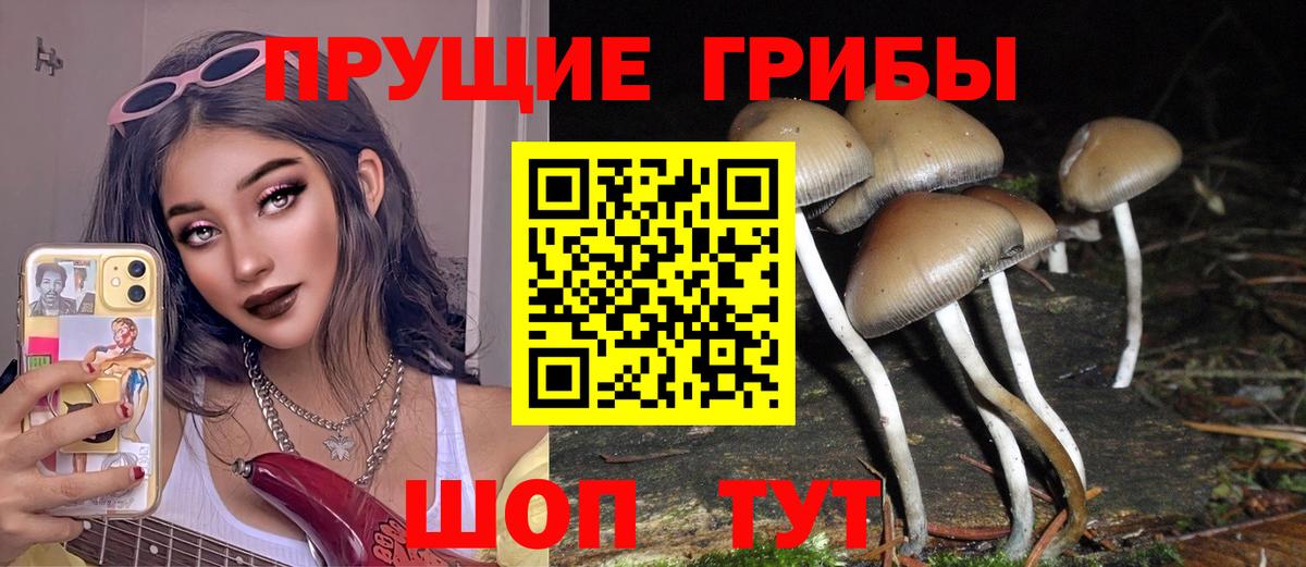 Псилоцибиновые грибы Cubensis Киров