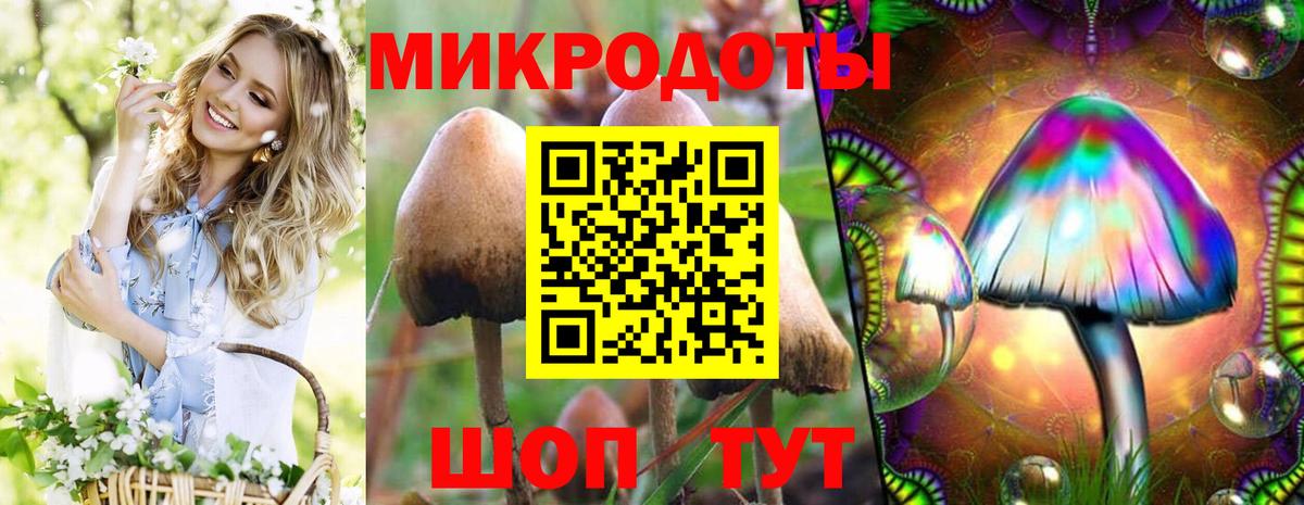 Киров  Псилоцибиновые грибы ЛСД  Вход с VPN 
