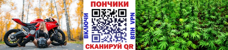 Канабис White Widow  где купить наркоту  Киров 